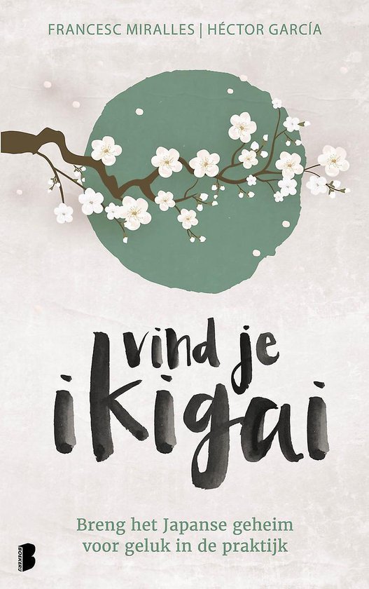Vind je ikigai werkboek